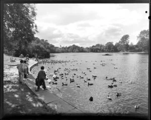 Unidentified children looking at swans and ducks from the shores of Lake Virginia, Whanganui