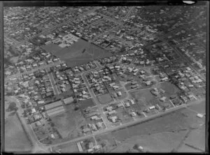 Housing in South Auckland, including school and sports field