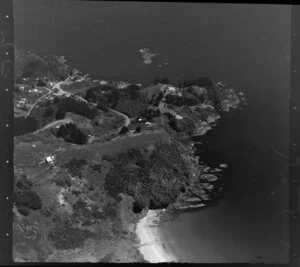 Waiheke Island, Hauraki Gulf, including McKenzie Reserve, Enclosure Bay and Palm Beach