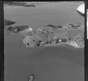 Whanganui Island, Coromandel Harbour