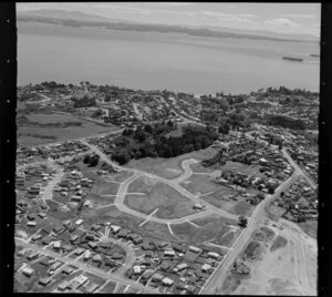 Land cleared for housing development, Gills Road, Manukau City, Auckland