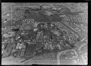 Mangere, Manukau City, Auckland, including residential houses and commercial gardens and greenhouses