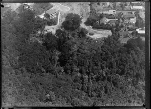 Housing development [house of R E Steiner?] and native bush, Roseberry Avenue, Birkenhead, North Shore City, Auckland