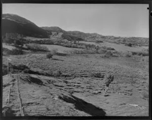 Rural scene near Tikitiki, Gisborne district