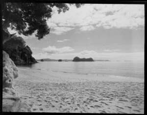 Hahei coastline, Whitianga, Coromandel Peninsula, including Motueka Island in the background