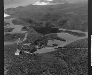 Waitakere Ranges with road to Bethells Beach