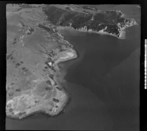 Whanganui Island, Coromandel Harbour