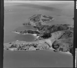 Whanganui Island, Coromandel Harbour