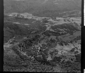 Waitakere Ranges forest and farmland