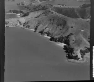 Whanganui Island, Coromandel Harbour