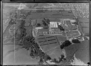 Nissan Datsun manufacturing plant, Wiri, Manukau City, Auckland Region, including land being cleared for industrial development
