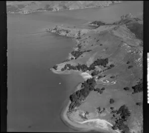 Whanganui Island, Coromandel Harbour