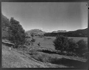 Rural scene with Mount Hikurangi in the distance, near Ruatoria, Gisborne district