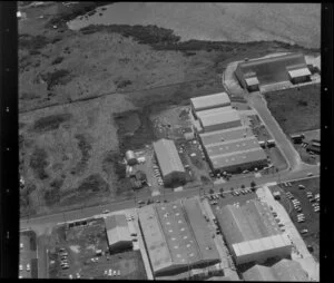 Unidentified factories, Carbine Road industrial area, Mt Wellington, Auckland, and including Tamaki River