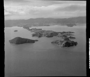 Motutapere and Whanganui Islands, Coromandel