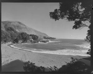 Hariki Beach, Te Kaha, Opotiki County