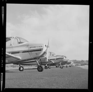 A row of Airtourer aeroplanes on the airstrip at Auckland Aero Club, Mangere