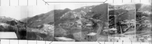 Part 1 of a 2 part panorama of Brooklyn, Wellington