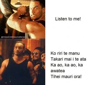Memes in te reo Māori posted to social media