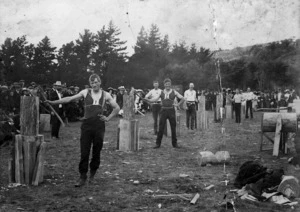 The 1st woodchopping contest in Upper Hutt