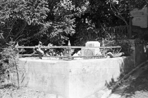 The grave of Jane Griffiths, plot 78.R, Sydney Street Cemetery.