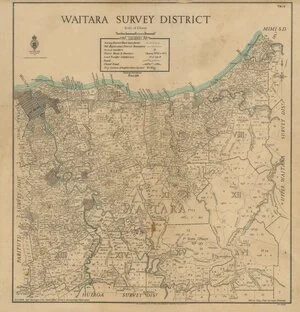 Waitara Survey District [electronic resource] / drawn by Fred Coleman.