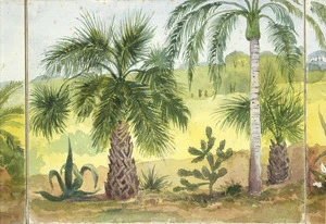 [Fox, William] 1812-1893 :Sydney. Public Gardens and Domain. Harbour and North Shore. 1888. Sabal Momnii. Cactus Opuntia. Palma Coceus.