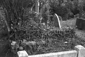 The grave of Thomas G Mellifont, plot 3609 Bolton Street Cemetery
