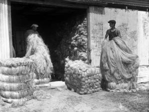 Men baling hanks of flax fibre, North Auckland