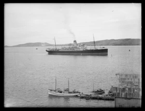 Steam ship Rimutaka in Port Chalmers harbour