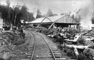 Taringamutu Totara Sawmill at the township of Waituhi, later known as Oruaiwi