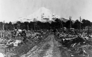 Cleared land, with Mount Taranaki in the background