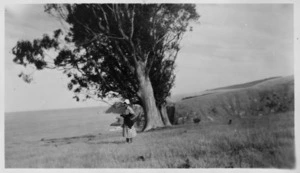 Blanche Edith Baughan at Long Lookout Point, Banks Peninsula