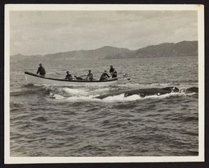 Boat with six men alongside whale