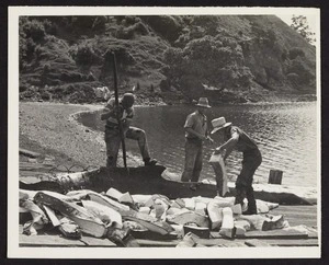 Three workers sorting through dissected whale blubber on Whangamumu harbour