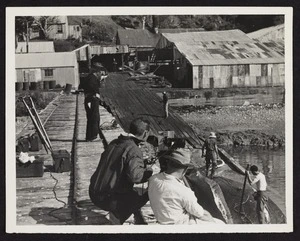 Film crew in foreground with men processing whale in background