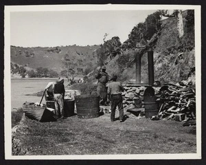 Four men at whale proscessing station in Whangamumu