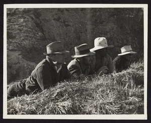 Four men lying in long grass