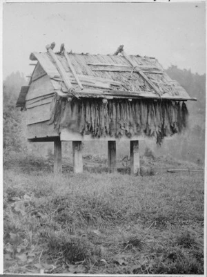 Ross, Malcolm, 1862-1930 :[Tobacco drying on a pataka, Ruatahuna]