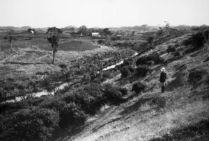 The Hokio Stream, a quarter mile below the outlet of lake Horowhenua