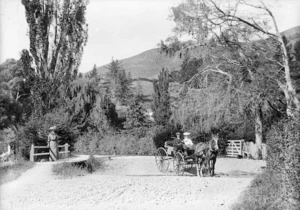 Scene in Nelson, with a horse and carriage