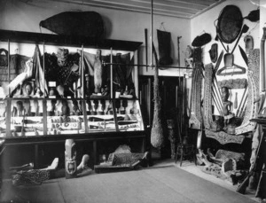 Augustus Hamilton's collection of Maori artifacts on display at the Napier Athaneum
