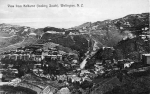 View of the Aro Valley with Brooklyn hill behind