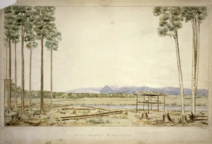 Heaphy, Charles 1820-1881 :View in the Nelson district; Mt. Arthur in the distance no. 6 [1841]
