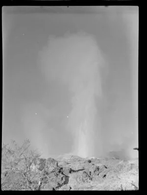 Te Whakarewarewa Thermal Valley, Rotorua, showing Pohutu Geyser in full eruption