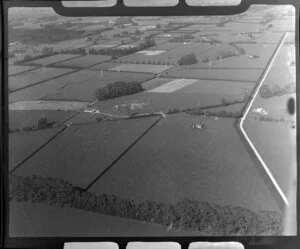 Leamington, Waikato District, view of farmland showing farm houses, fields and hedgerows, with access road