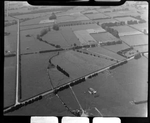 Leamington, Waikato District, view of farmland showing fields with hedgerows, access roads and farm buildings