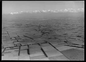 Waikato farmlands, Hamilton