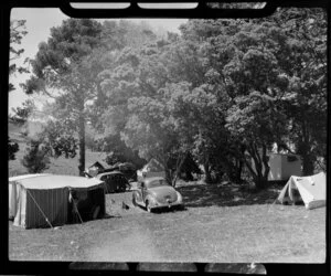 Camping ground, Opononi, Northland