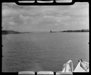 Kioreroa area near the Port Whangarei, Northland